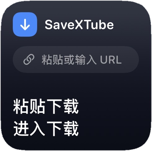 SaveXTube iOS home-screen widget: app name on top, a 'Paste or enter URL' line in the middle, and 'Paste to download' and 'Open download' entries below